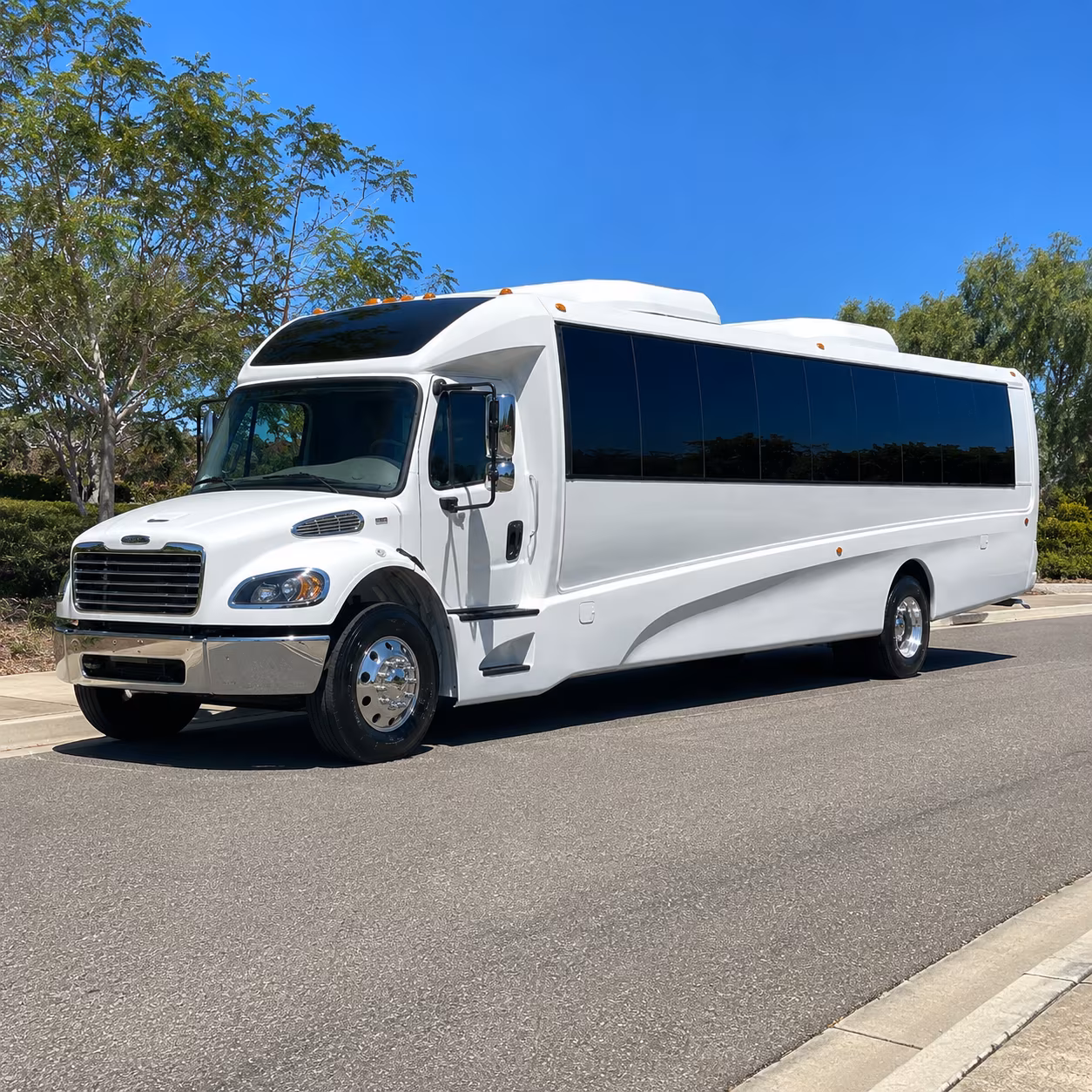 miami beach 15 passenger minibus
